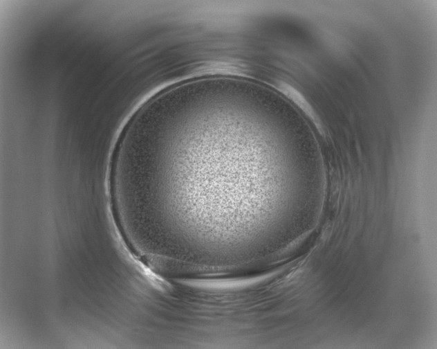 X0000070371339200606121225