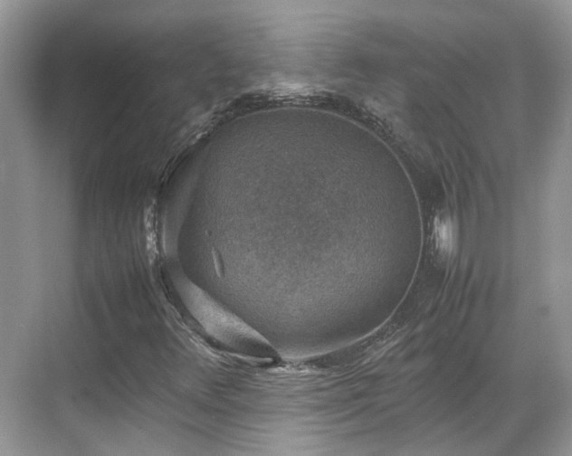 X0000070371348200606121224