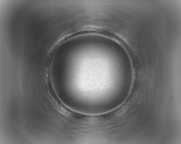 X0000070371355200606121224