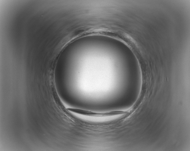 X0000070371361200606121224