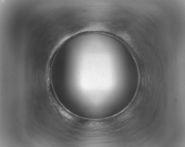 X0000070371366200606121224