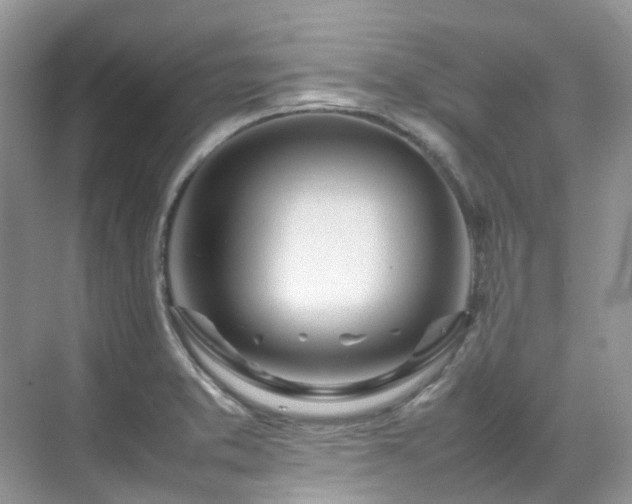 X0000070371373200606121224