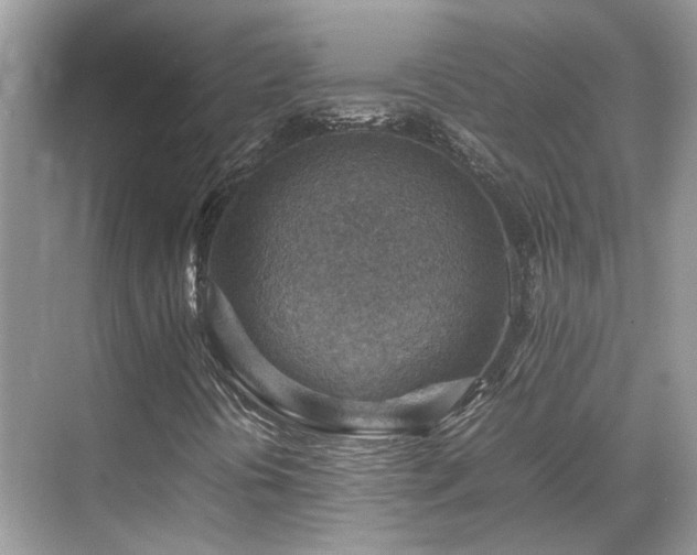 X0000070371394200606121223