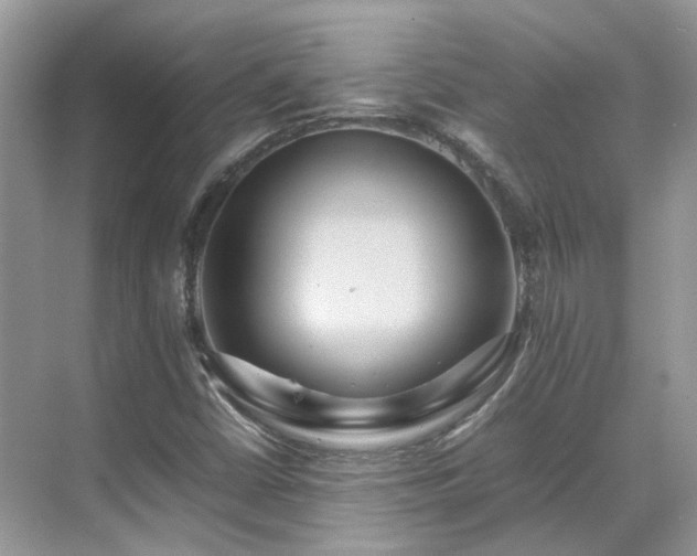 X0000070371402200606121223
