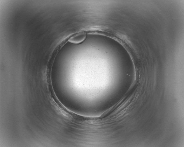 X0000070371404200606121223