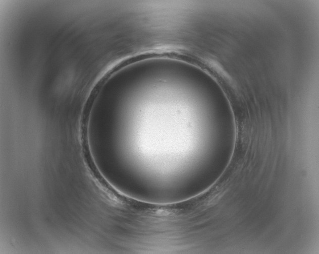 X0000070371412200606121223