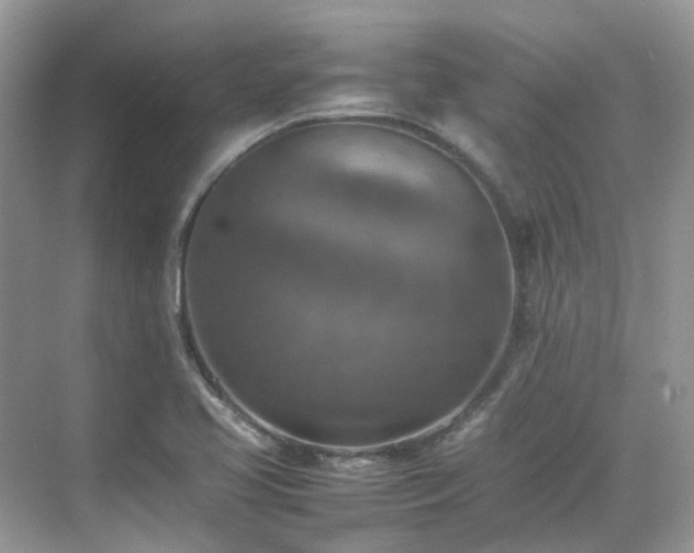 X0000070371413200606121223