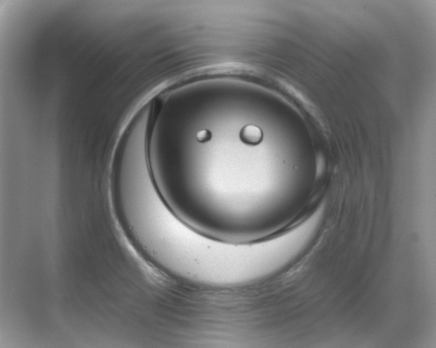 X0000070371418200606121223