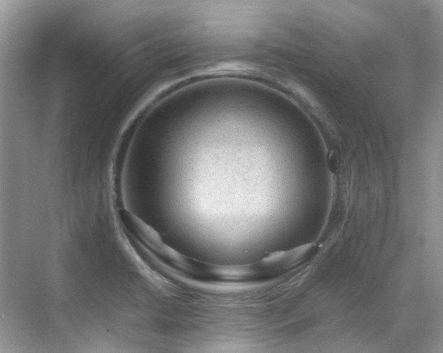 X0000070371422200606121223
