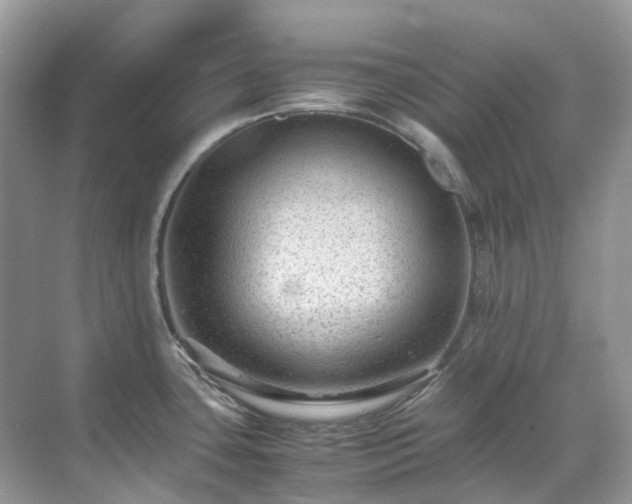 X0000070371435200606121224