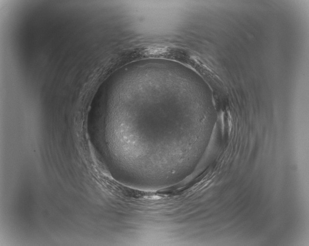 X0000070371441200606121223