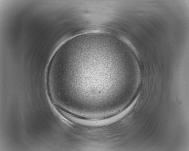 X0000070371483200606121222