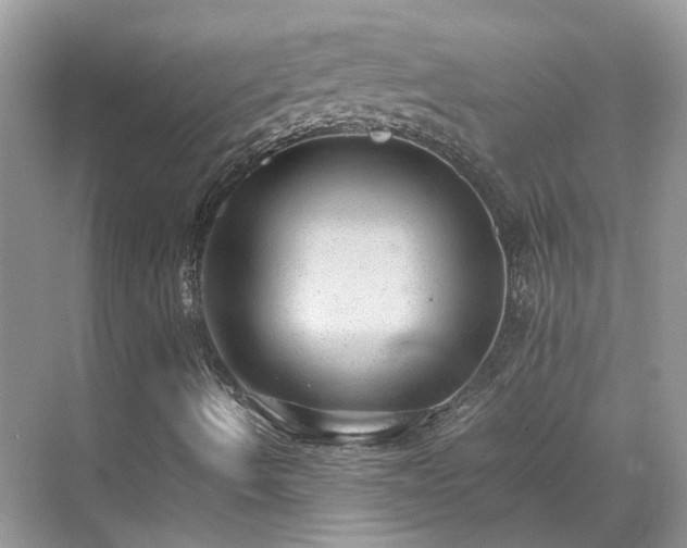 X0000070371490200606121221