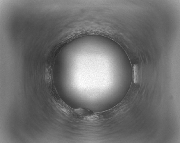 X0000070371491200606121221