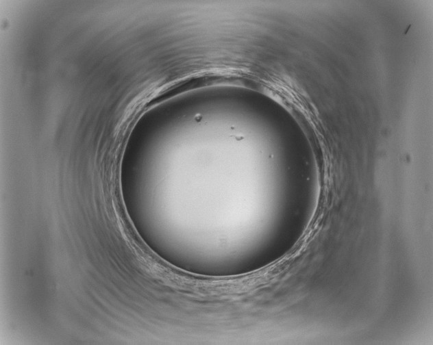 X0000070370001200606161329