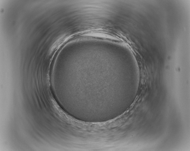 X0000070370002200606161329