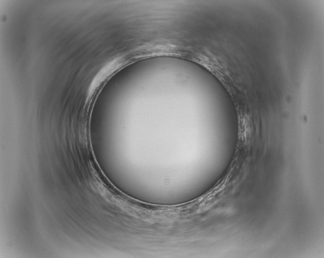 X0000070370004200606161329