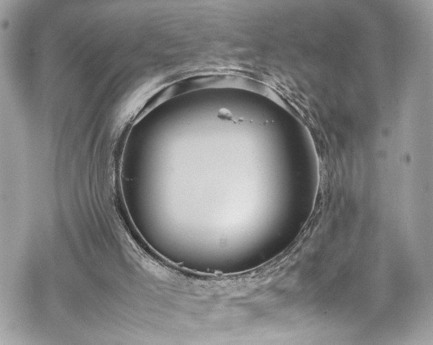 X0000070370005200606161329