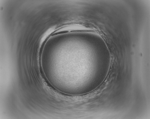 X0000070370006200606161329