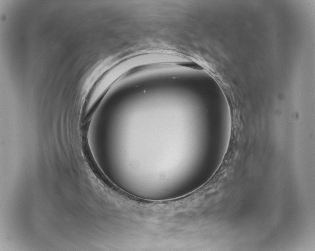 X0000070370007200606161329