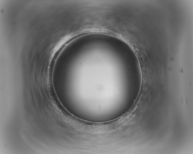 X0000070370008200606161329