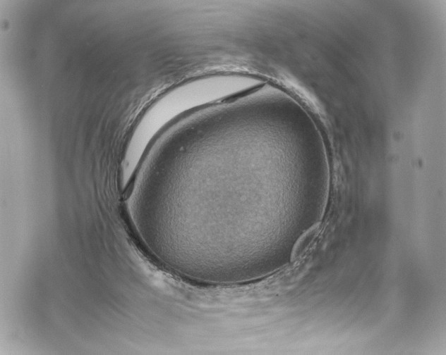 X0000070370009200606161329