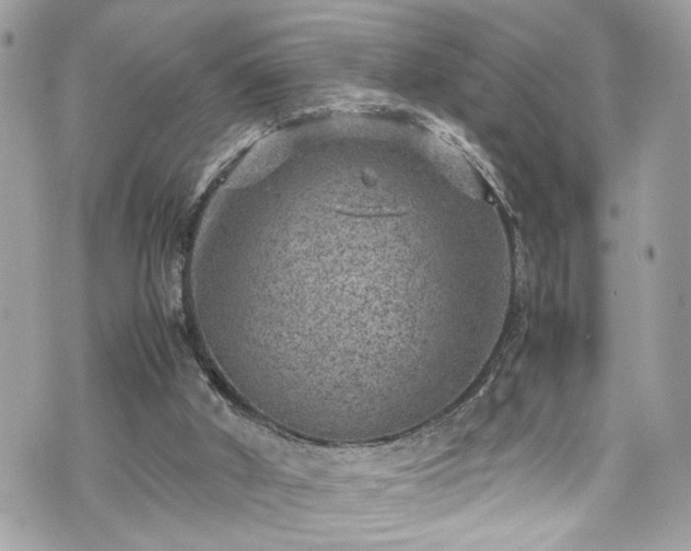 X0000070370010200606161329