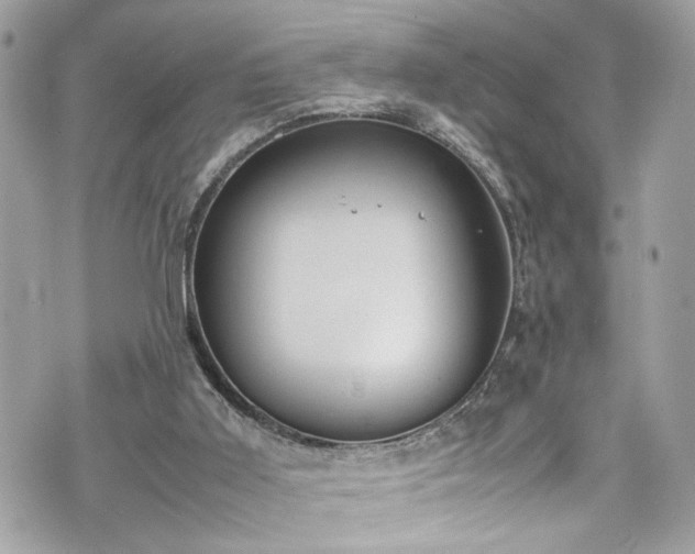 X0000070370011200606161329