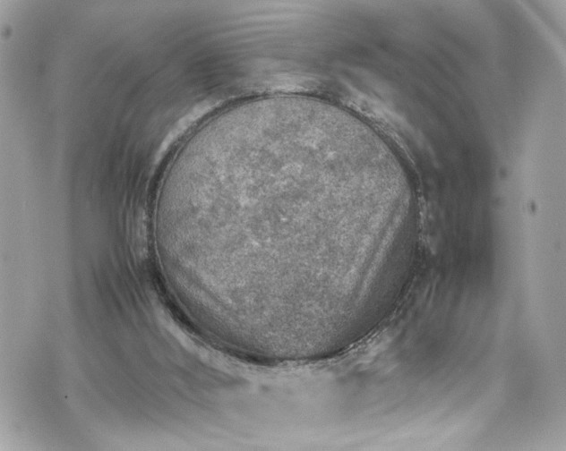 X0000070370012200606161329