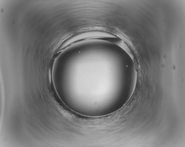 X0000070370013200606161329