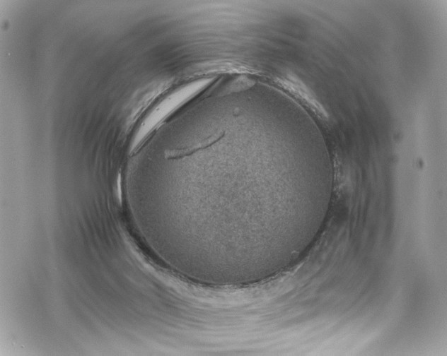 X0000070370014200606161329