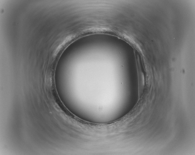 X0000070370015200606161329