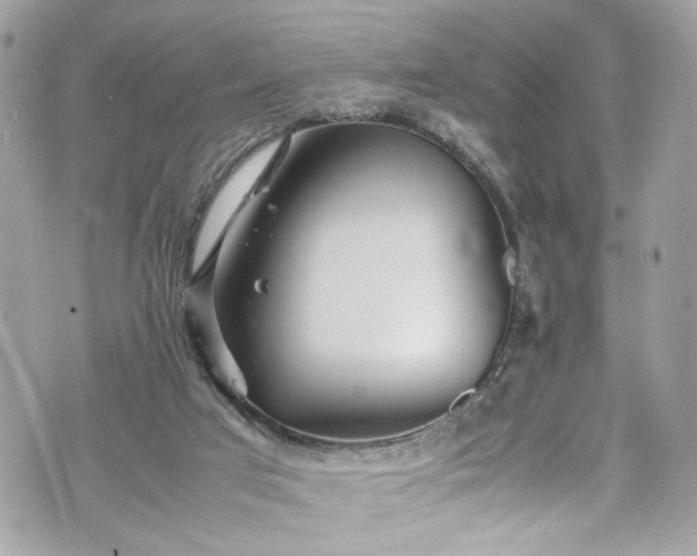 X0000070370017200606161329