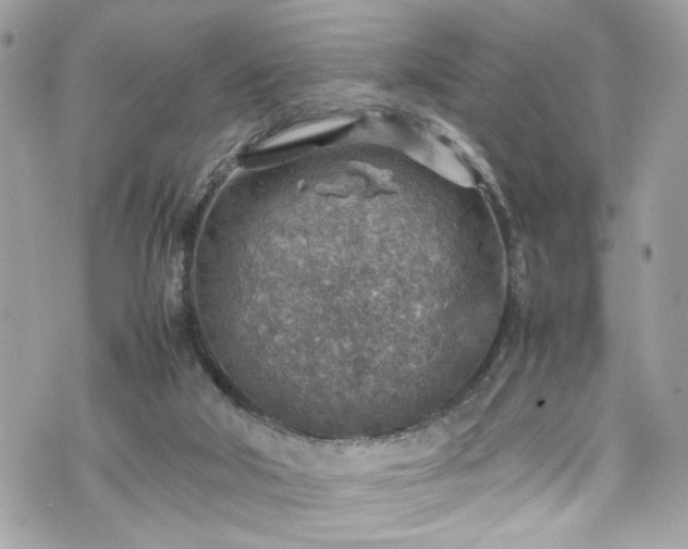 X0000070370018200606161329