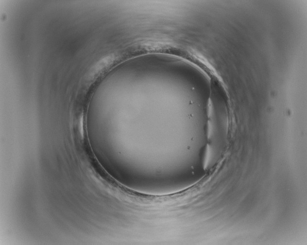 X0000070370019200606161329