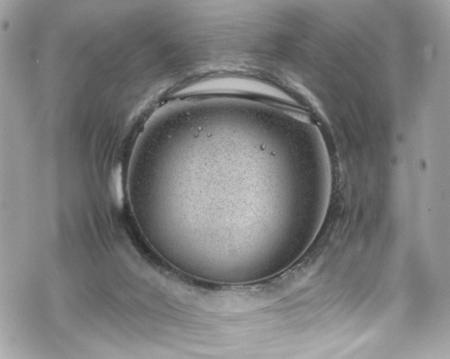 X0000070370020200606161329