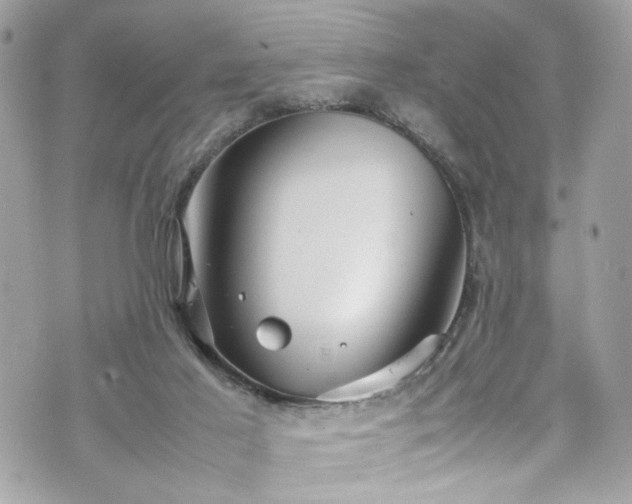 X0000070370021200606161329