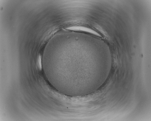 X0000070370022200606161329