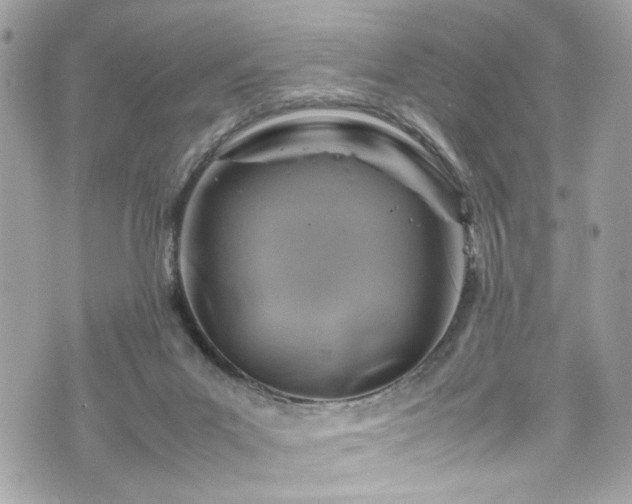 X0000070370023200606161329