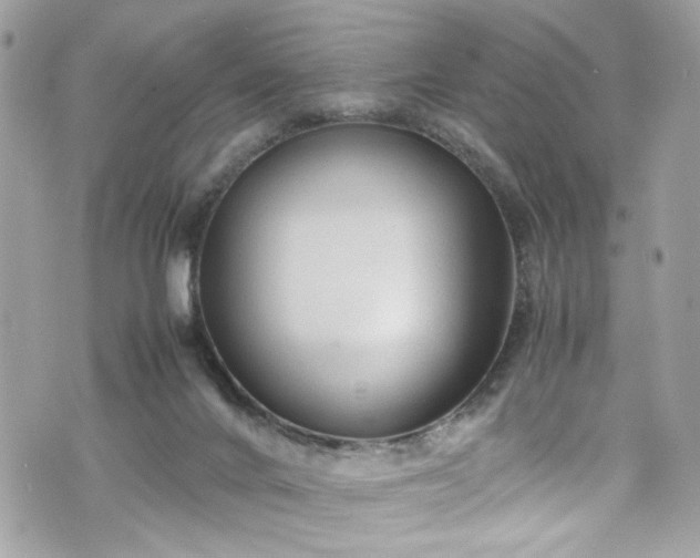 X0000070370024200606161329