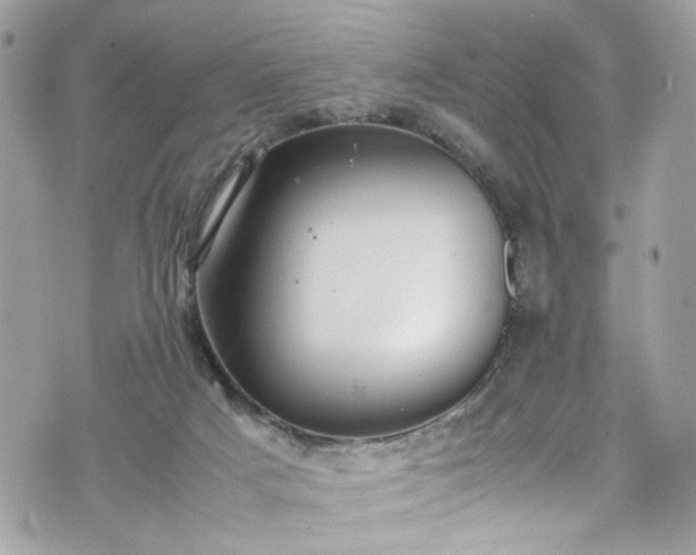 X0000070370025200606161329