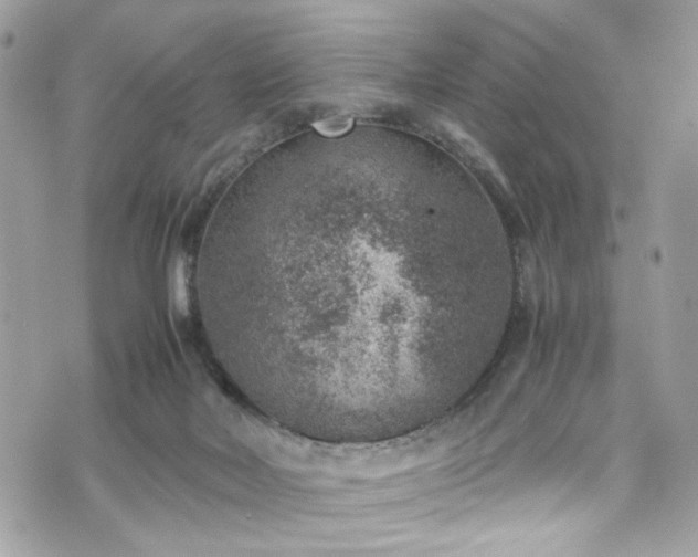 X0000070370026200606161329