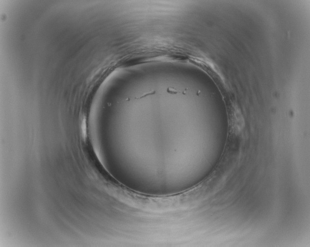 X0000070370027200606161329