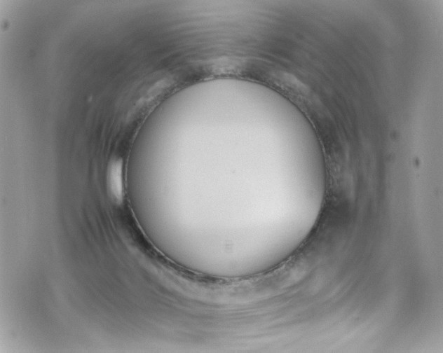 X0000070370028200606161329