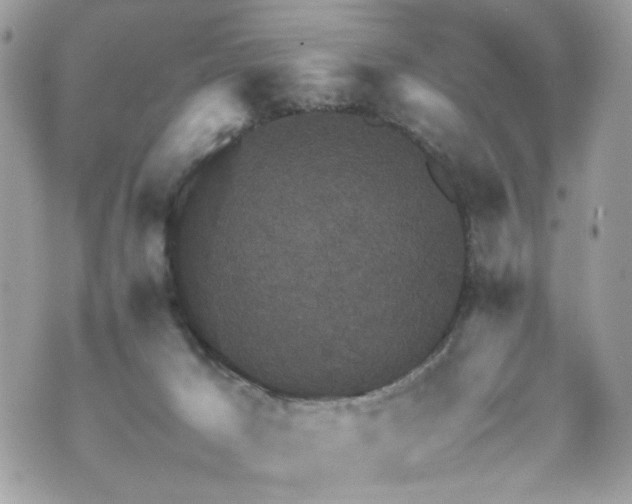 X0000070370029200606161329