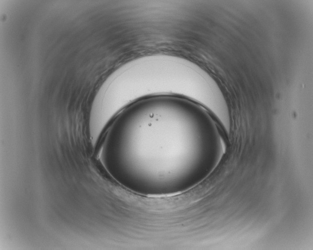 X0000070370030200606161329