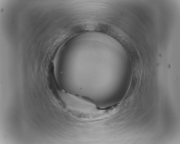 X0000070370031200606161329