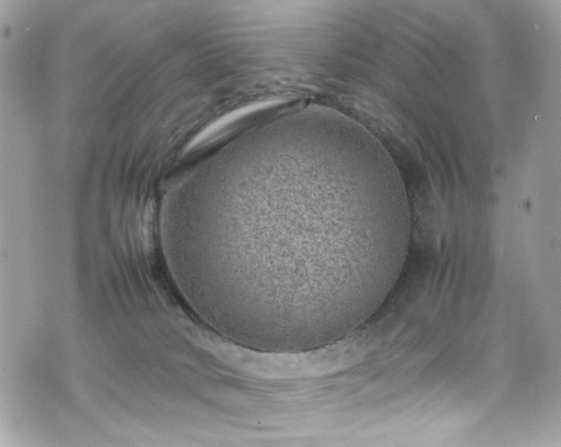 X0000070370034200606161328