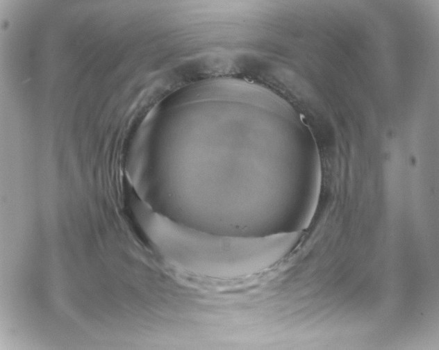 X0000070370035200606161328