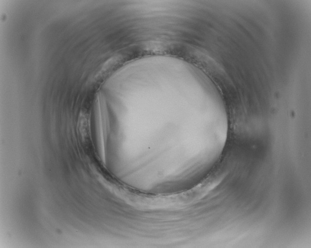 X0000070370036200606161328